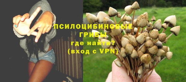 стаф Алексеевка