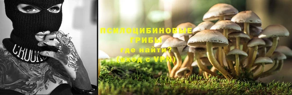 бутират Алзамай