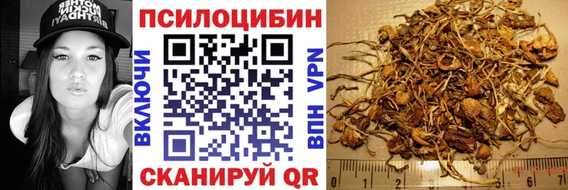 Галлюциногенные грибы GOLDEN TEACHER магазин Волхов